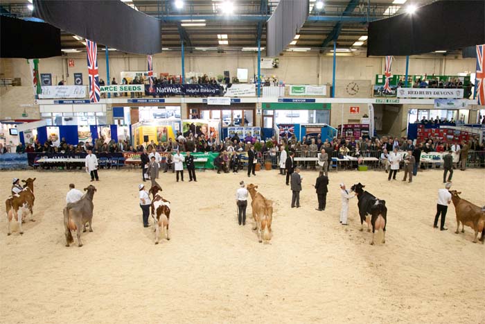 Dairy Show celebrates young farm vets with a new award Dairy Show celebrates young farm vets with a new award