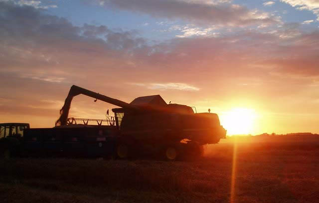 NFU warn farmers over bank scam NFU warn farmers over bank scam