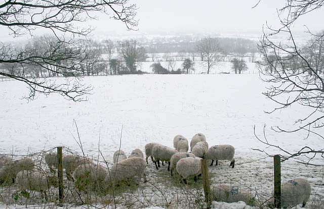 Early payments for weather affected farmers Early payments for weather affected farmers