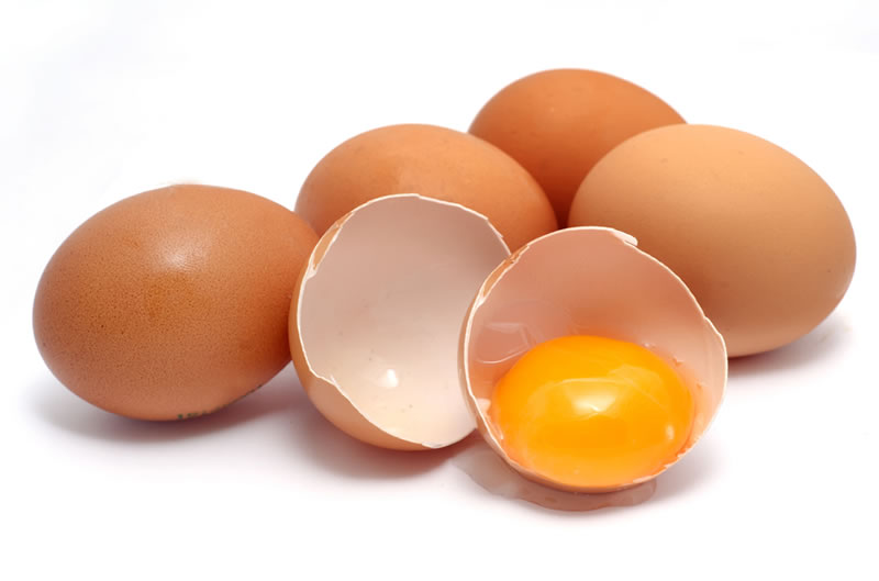 EU inspectors tell Argentina to improve egg export standards EU inspectors tell Argentina to improve egg export standards