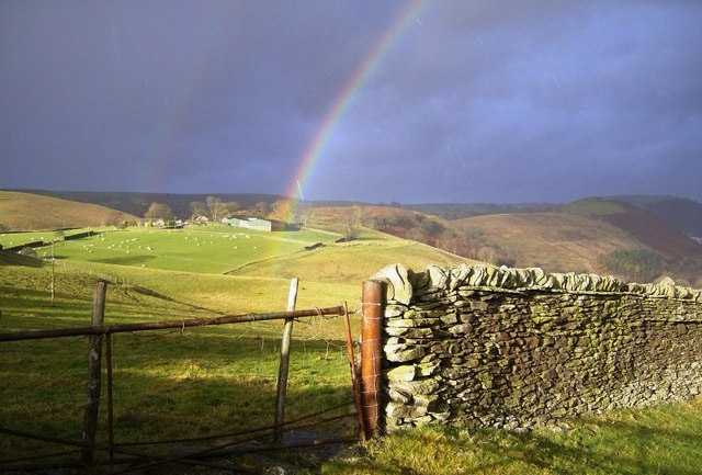Coalition reforms putting countryside under 'unprecedented pressure' Coalition reforms putting countryside under 'unprecedented pressure'