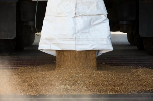 HGCA launches Grain sampling guide at UK Grain HGCA launches Grain sampling guide at UK Grain
