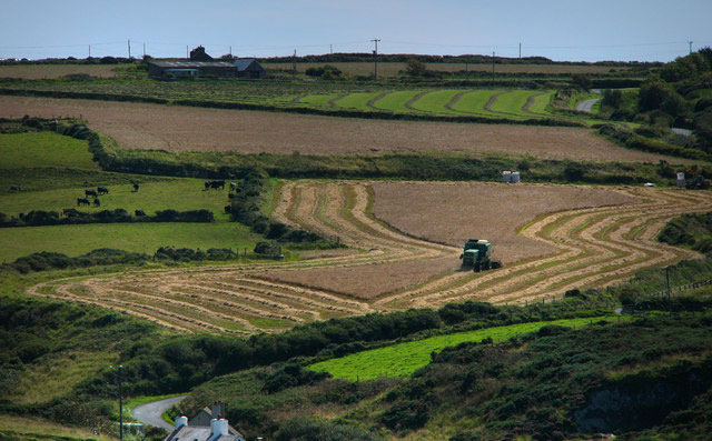 Farming groups welcome CAP implementation Farming groups welcome CAP implementation