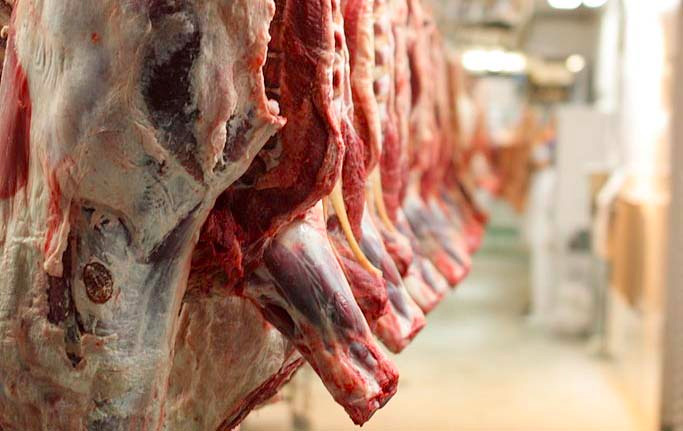 MEPs call for measures to stop food fraud MEPs call for measures to stop food fraud