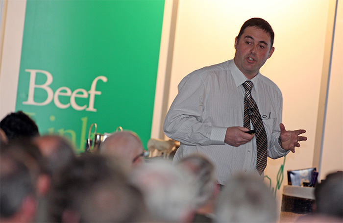 Efficiency is key, UK beef farmers told Efficiency is key, UK beef farmers told