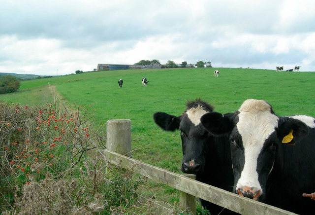 FSA launches raw milk consultation FSA launches raw milk consultation