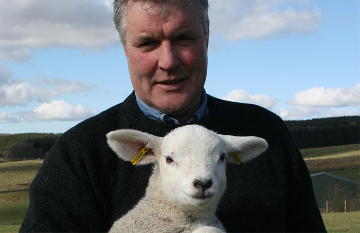Wool board members re-elected for three years Wool board members re-elected for three years