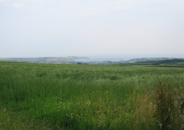 Fertilisers destabilise grasslands in changing conditions Fertilisers destabilise grasslands in changing conditions