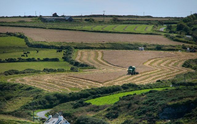 Figures reveal steadying farm costs Figures reveal steadying farm costs