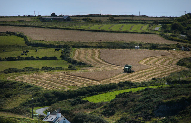 Farmers pilot new digital mapping service for RPA Farmers pilot new digital mapping service for RPA