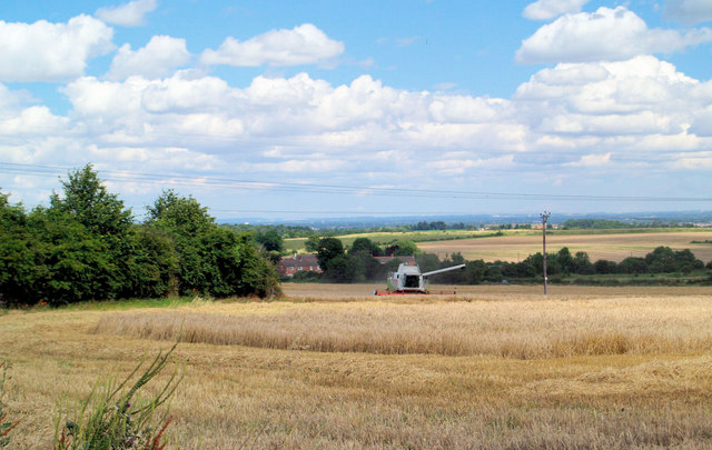 Budget fails to benefit farms, says CLA Budget fails to benefit farms, says CLA