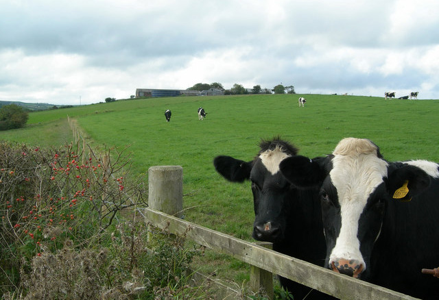 International dairy pricing 'to ease through 2014' International dairy pricing 'to ease through 2014'