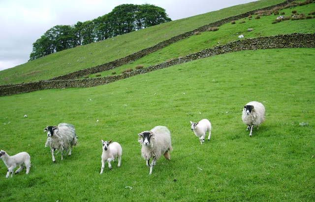 New awards celebrate farm wildlife success New awards celebrate farm wildlife success