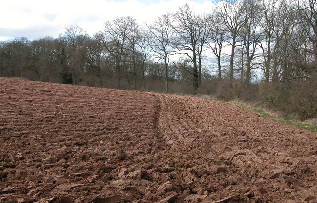Flooding, drought, food security: is soil the answer? Flooding, drought, food security: is soil the answer?