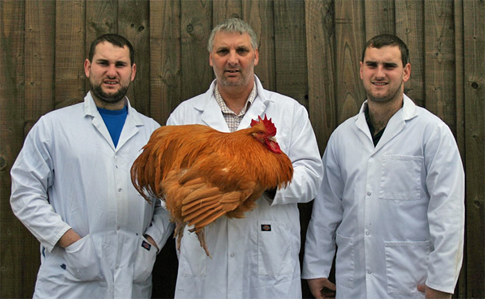 Team Wakeham take on <a href='javascript:void(0)' class='keyword' id='27' style='text-decoration:underline;color:blue' >poultry </a>at Bath & West Show Team Wakeham take on <a href='javascript:void(0)' class='keyword' id='27' style='text-decoration:underline;color:blue' >poultry </a>at Bath & West Show