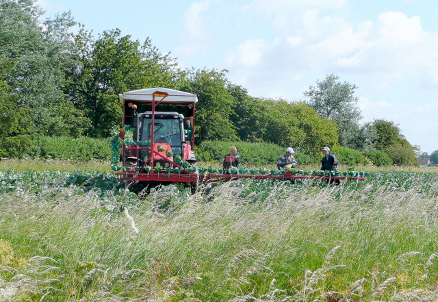 Farmers still being targeted in bank fraud scams Farmers still being targeted in bank fraud scams