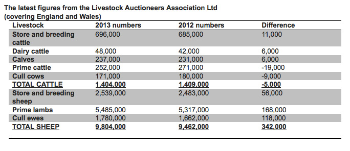 Auction markets grow as 342,000 sheep sold in 2013 Auction markets grow as 342,000 sheep sold in 2013