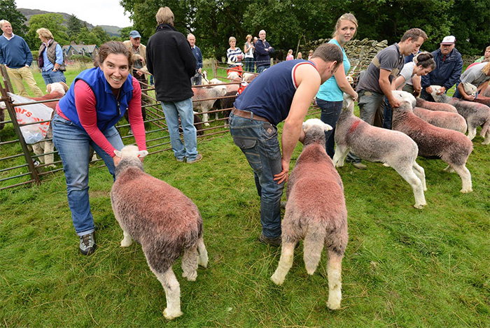 Capital exposure for Lakes sheep farmers Capital exposure for Lakes sheep farmers