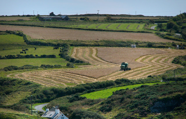 How can the next UK government boost agricultural production? How can the next UK government boost agricultural production?