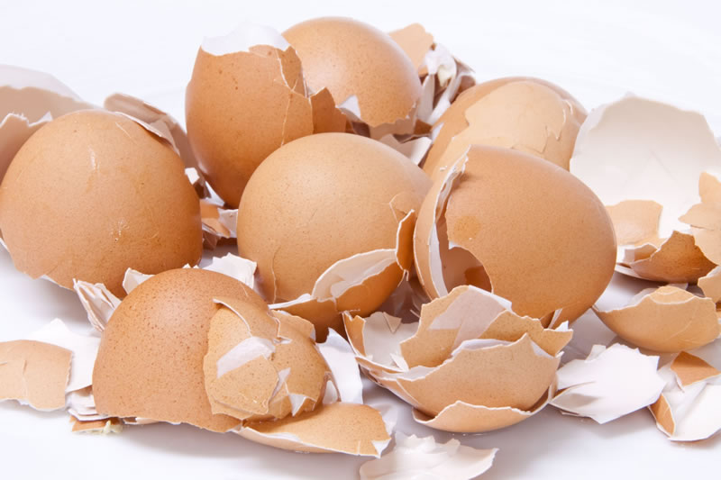 Competition Commission to investigate Noble Foods takeover of Manton's egg processing plants Competition Commission to investigate Noble Foods takeover of Manton's egg processing plants