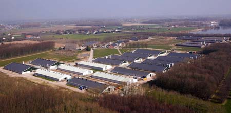 Herveld pedigree farm Herveld pedigree farm