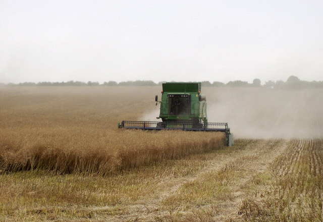 Farm incomes show 13% increase Farm incomes show 13% increase