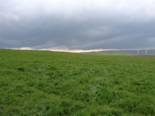 Welsh Government refusal to allow corrections to moorland map slammed by farmers Welsh Government refusal to allow corrections to moorland map slammed by farmers