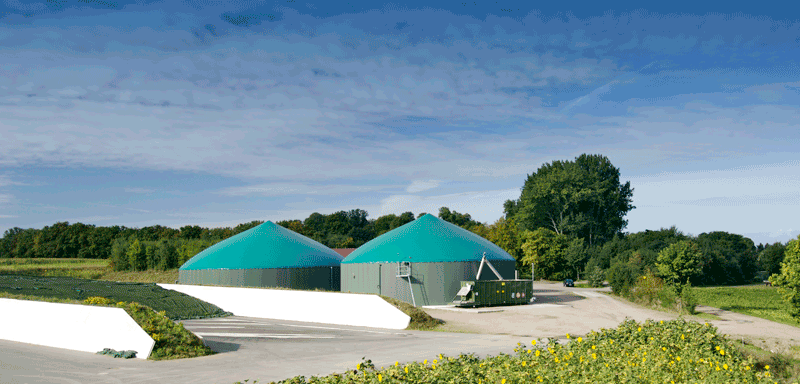 MT-Energie biogas plant at Plusterwine House <a href='javascript:void(0)' class='keyword' id='11' style='text-decoration:underline;color:blue' >fuel</a>led by KWS energy crops MT-Energie biogas plant at Plusterwine House <a href='javascript:void(0)' class='keyword' id='11' style='text-decoration:underline;color:blue' >fuel</a>led by KWS energy crops