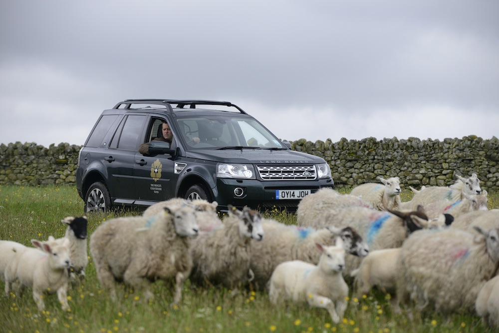 James Rebanks, Land Rover & The Prince’s Countryside Fund rural bursary James Rebanks, Land Rover & The Prince’s Countryside Fund rural bursary