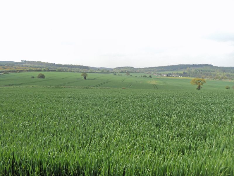 Arable farm bordering Cannock Chase seeks offers in excess of £1.3 million Arable farm bordering Cannock Chase seeks offers in excess of £1.3 million