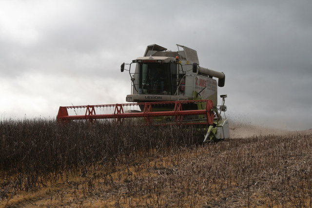 Fatalities fall but cost of serious farm accidents continues to rise Fatalities fall but cost of serious farm accidents continues to rise