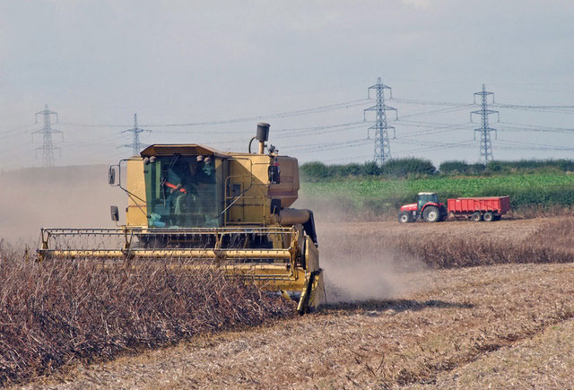 UK farming policy needs overhaul to tackle future problems, report says UK farming policy needs overhaul to tackle future problems, report says