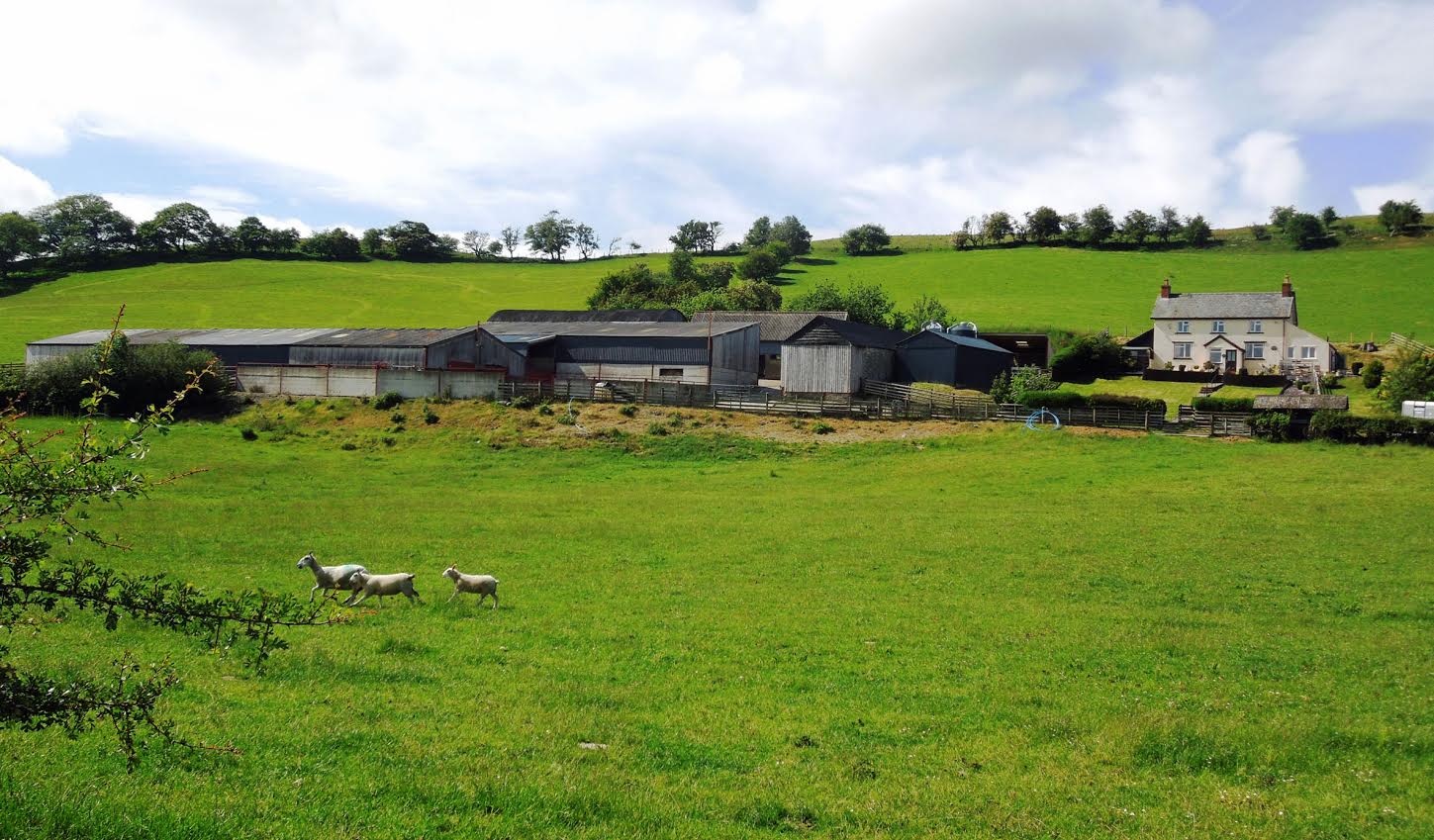 Farming UK News Mid Wales livestock rearing farm has guide price of 1