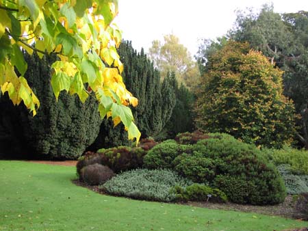 Dundee University Botanic Gardens Dundee University Botanic Gardens