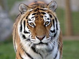 Marwell Wildlife Marwell Wildlife