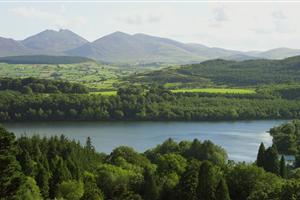Castlewellan Forest Park Castlewellan Forest Park