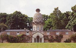 Dunmore Pineapple Dunmore Pineapple