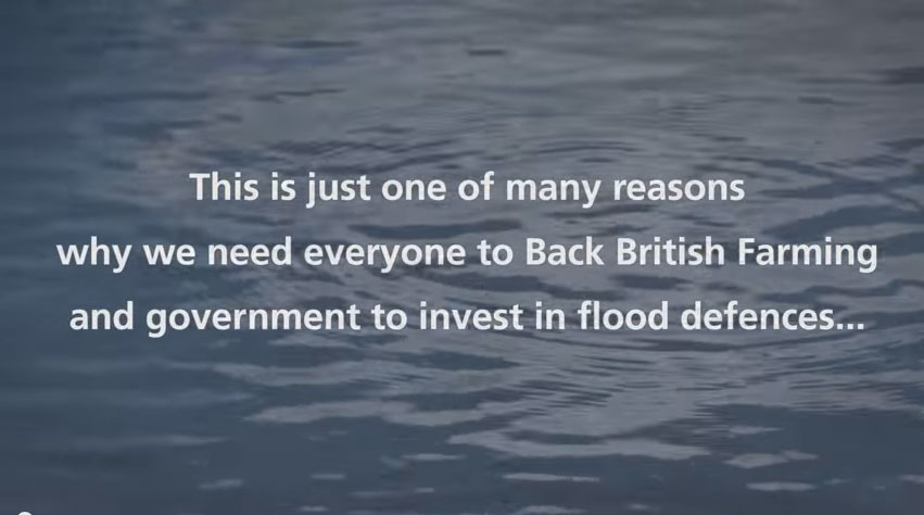 Back British Farming: How 2014 winter floods impacted dairy farmers