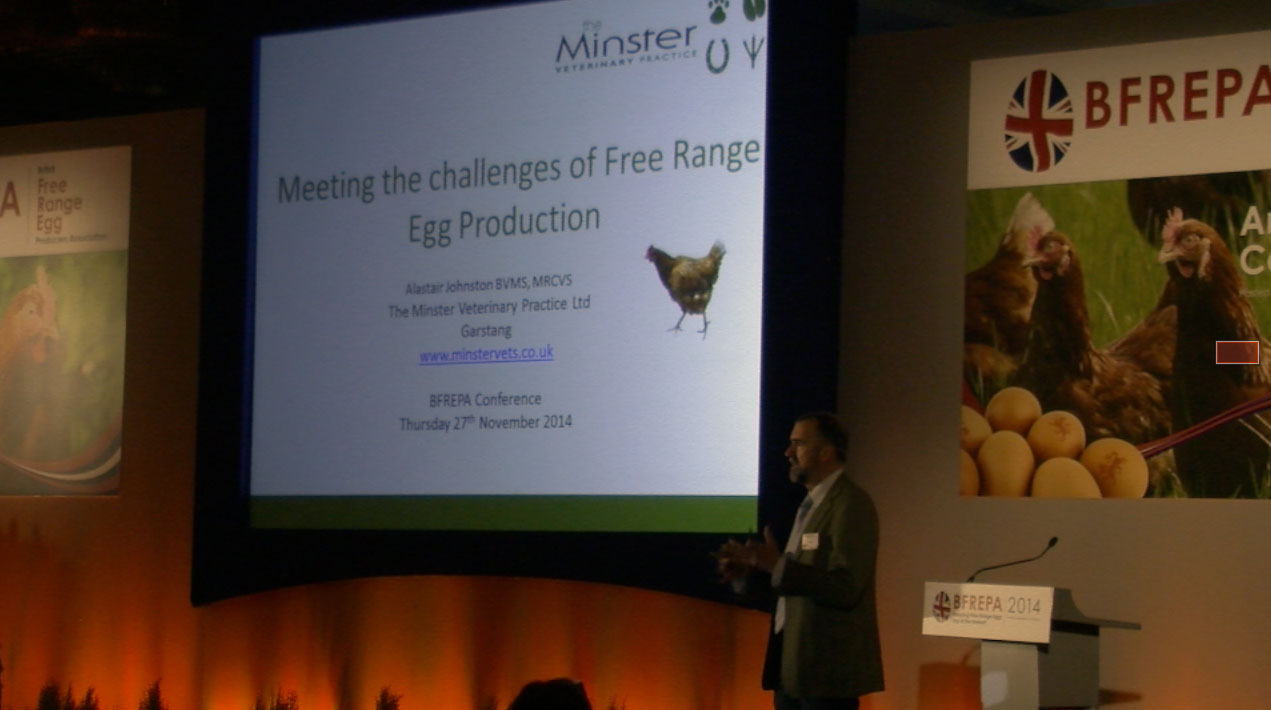 Alastair Johnston - Minster Vets