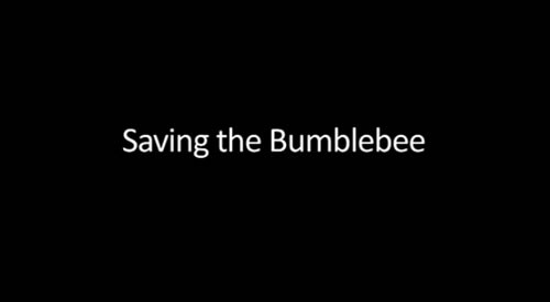 Saving the Bumblebee Saving the Bumblebee