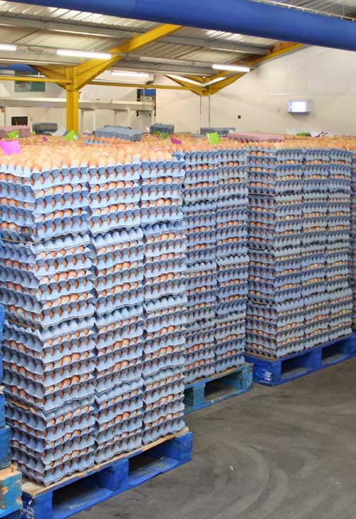 Egg inspector numbers cut