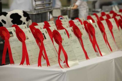 Rosettes for prize winners at last years Great Yorkshire Show