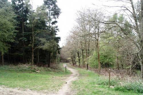Government introduces changes to rights of way