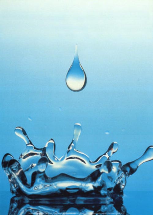 Call for water-wise business to shout about success 