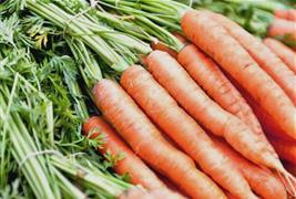 Thames Valley Farmers' Market Co-Operative