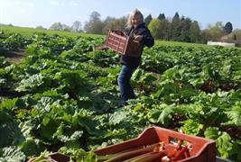 Calcott Hall Farm