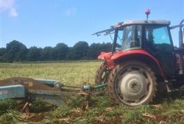 Hooton's Homegrown