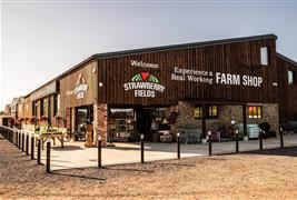Lifton Strawberry Fields Farm Shop & Pyo
