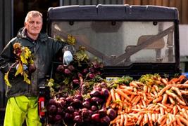 Lifton Strawberry Fields Farm Shop & Pyo