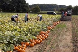 Malt Kiln Farm Shop